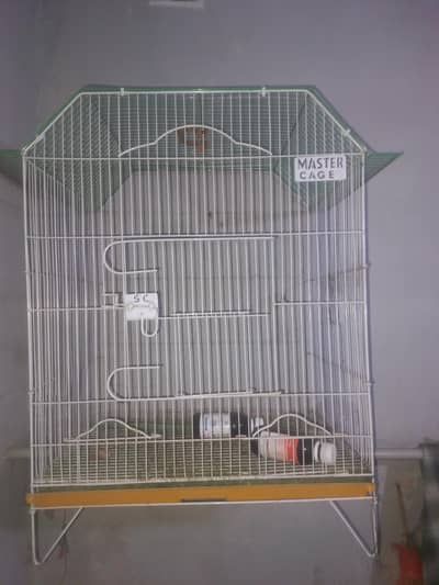 Master Cage For $ale