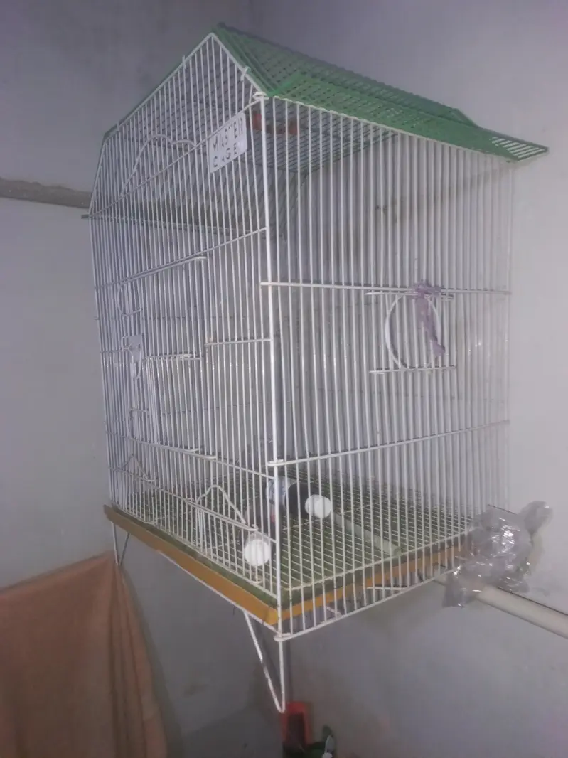 Master Cage For $ale — photo 2