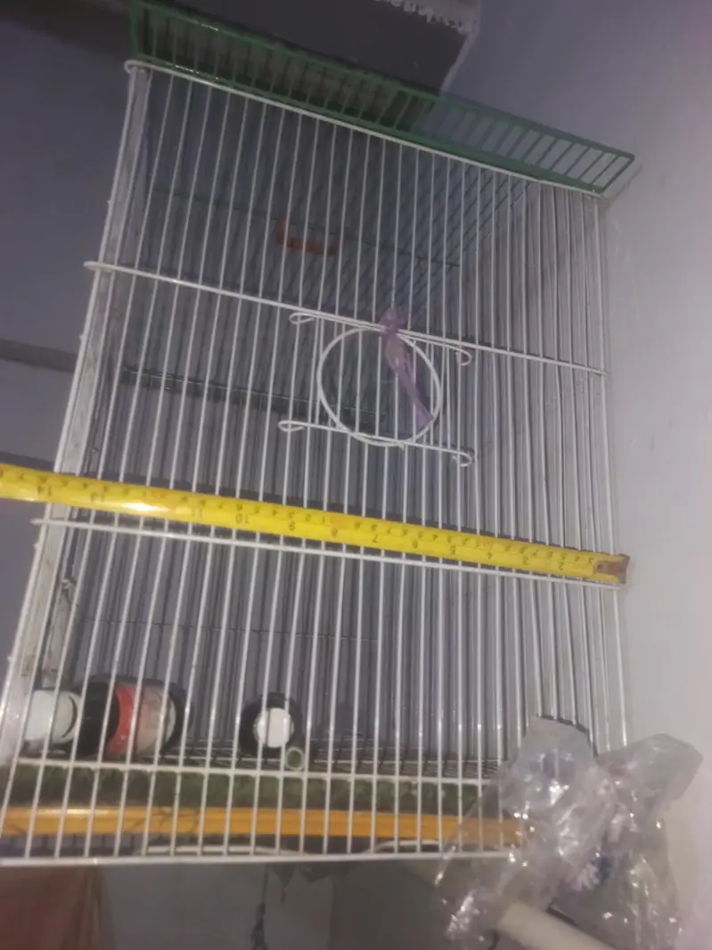 Master Cage For $ale — photo 3