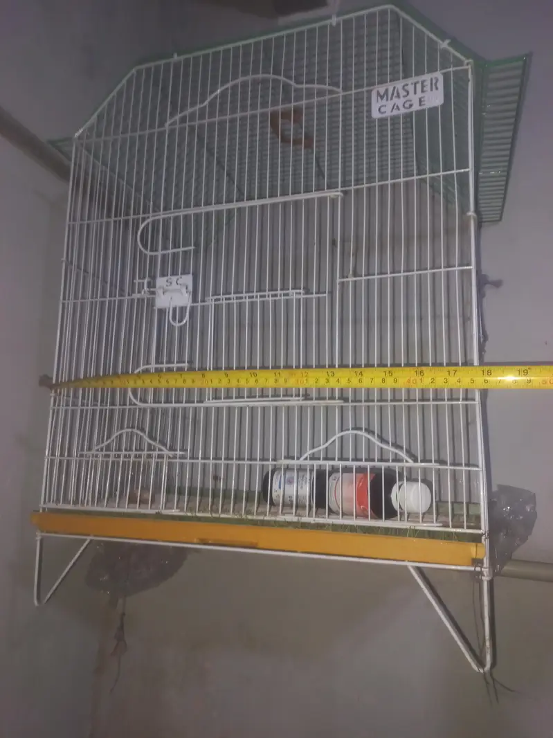 Master Cage For $ale — photo 5