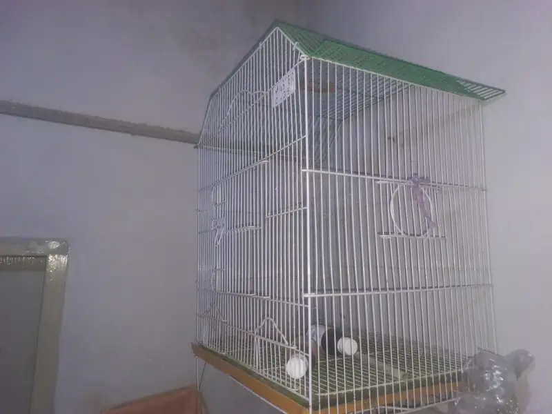 Master Cage For $ale — photo 6