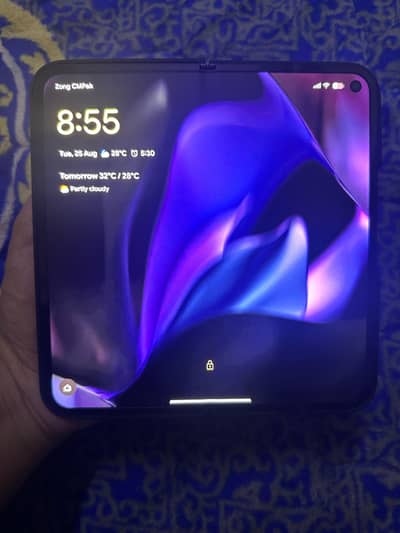 Pixel 9 Pro Fold Dual Approved