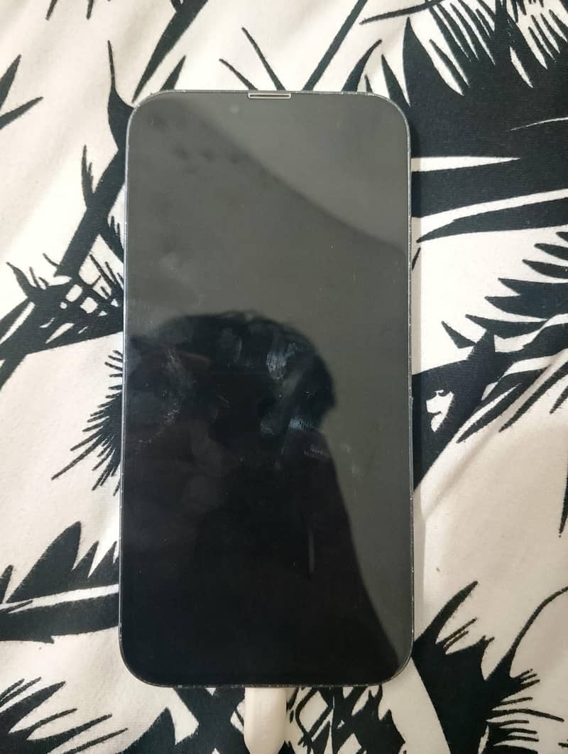 Apple iPhone 13 Pro Max 2