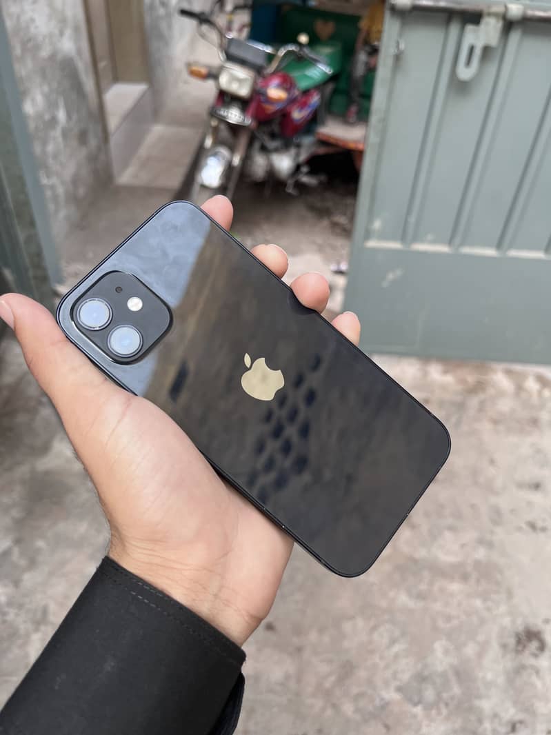 Apple iPhone 12 1