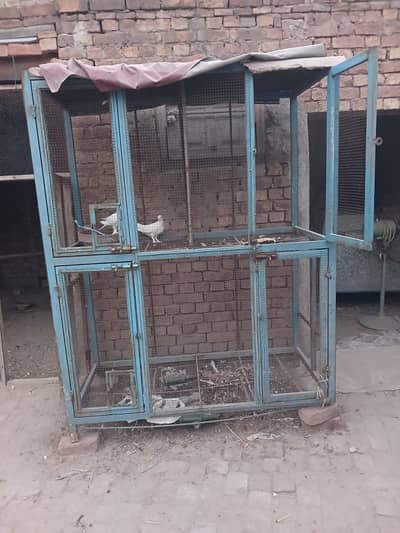 cage for sale partation cage four partation is this cage