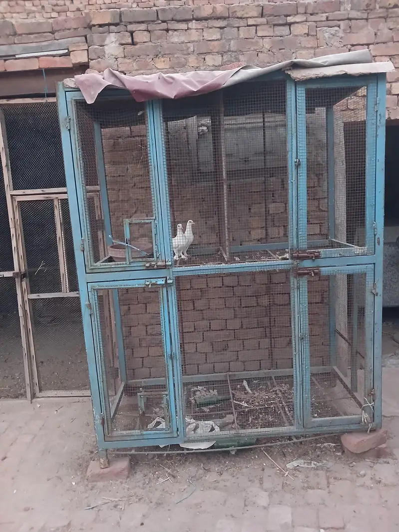 cage for sale partation cage four partation is this cage — photo 2