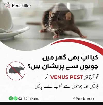 kamran ejaz