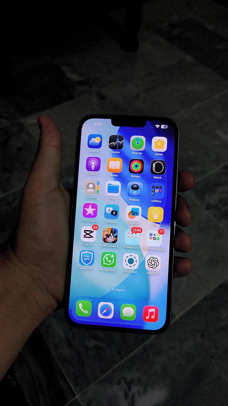 Apple iPhone 13 Pro Max 1