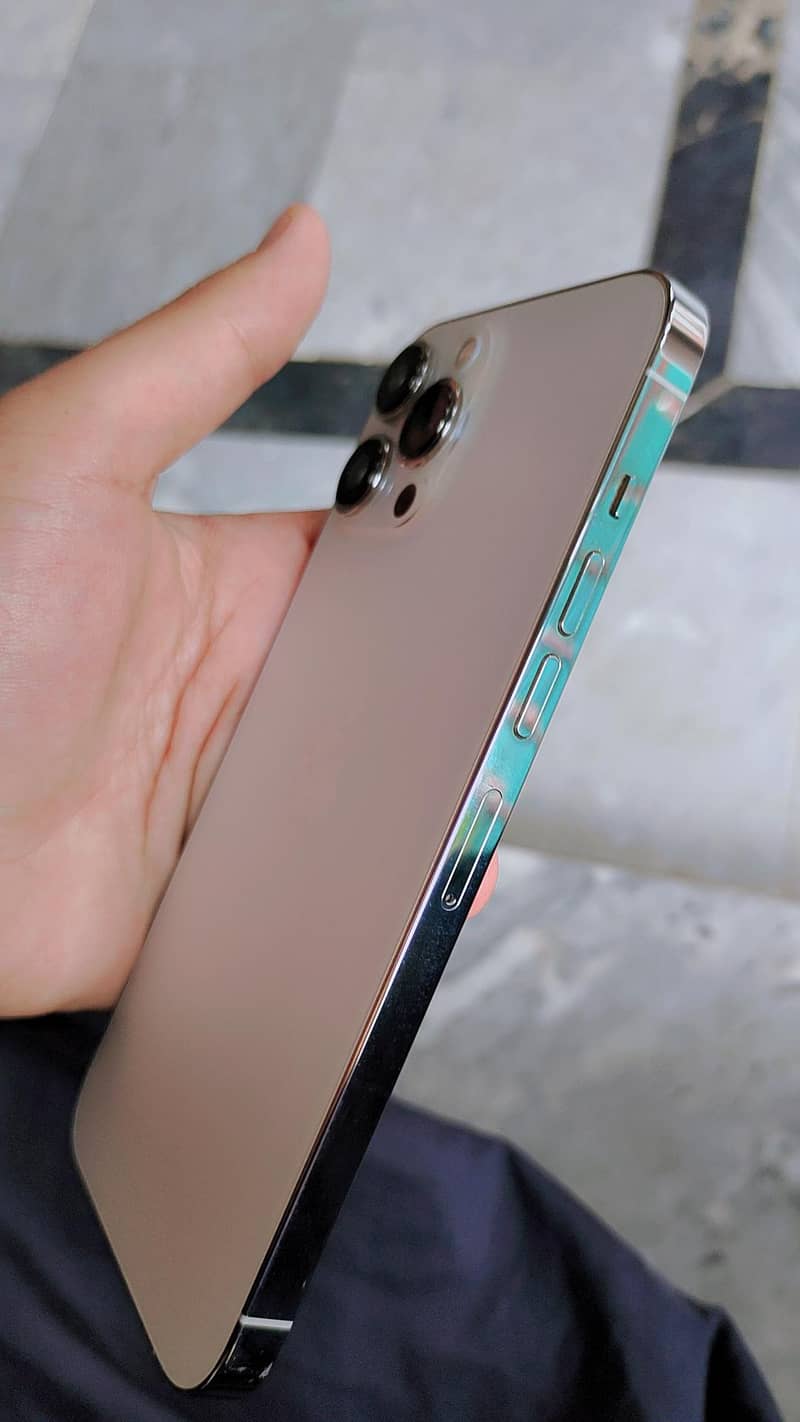 Apple iPhone 13 Pro Max 2