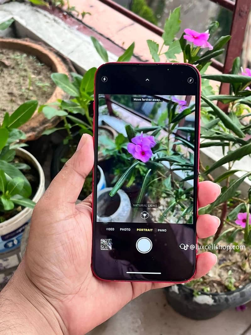 Apple iPhone 14 plus 1