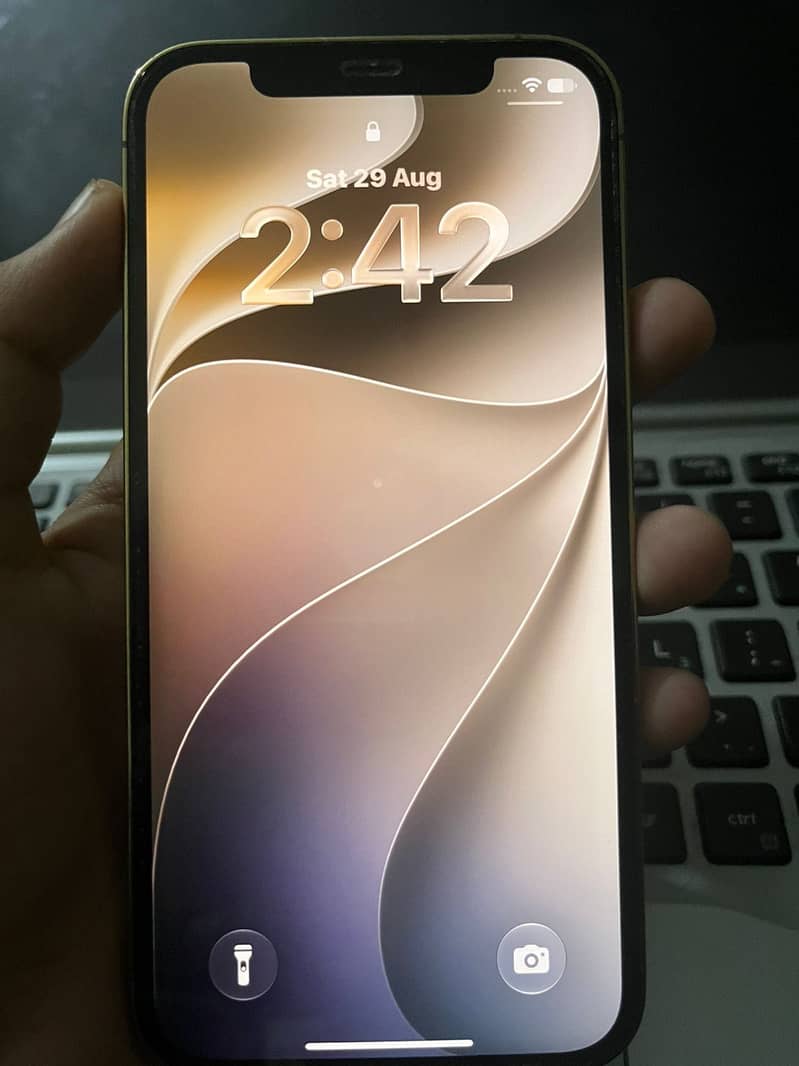 Apple iPhone 12 Pro 5