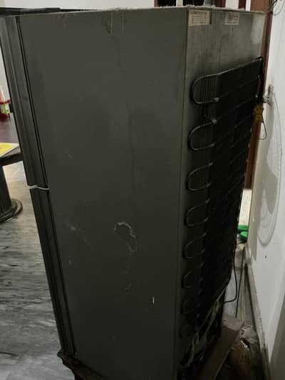ORIENTE FRIDGE