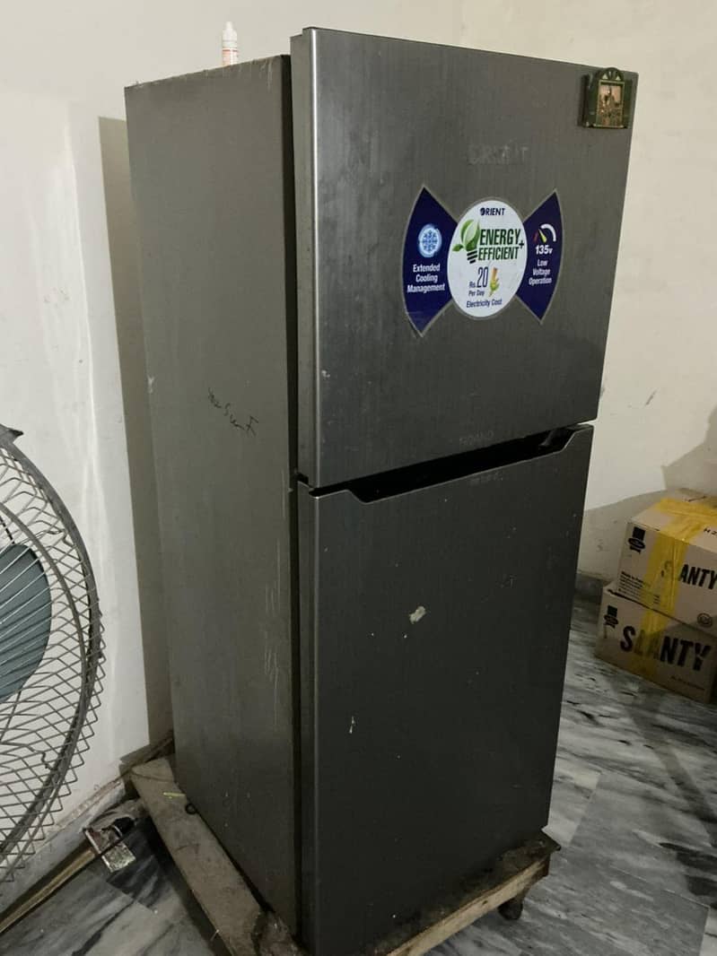 ORIENTE FRIDGE 1