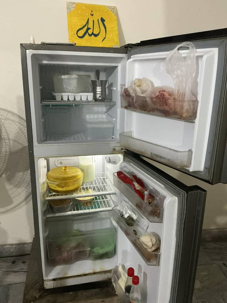 ORIENTE FRIDGE 2