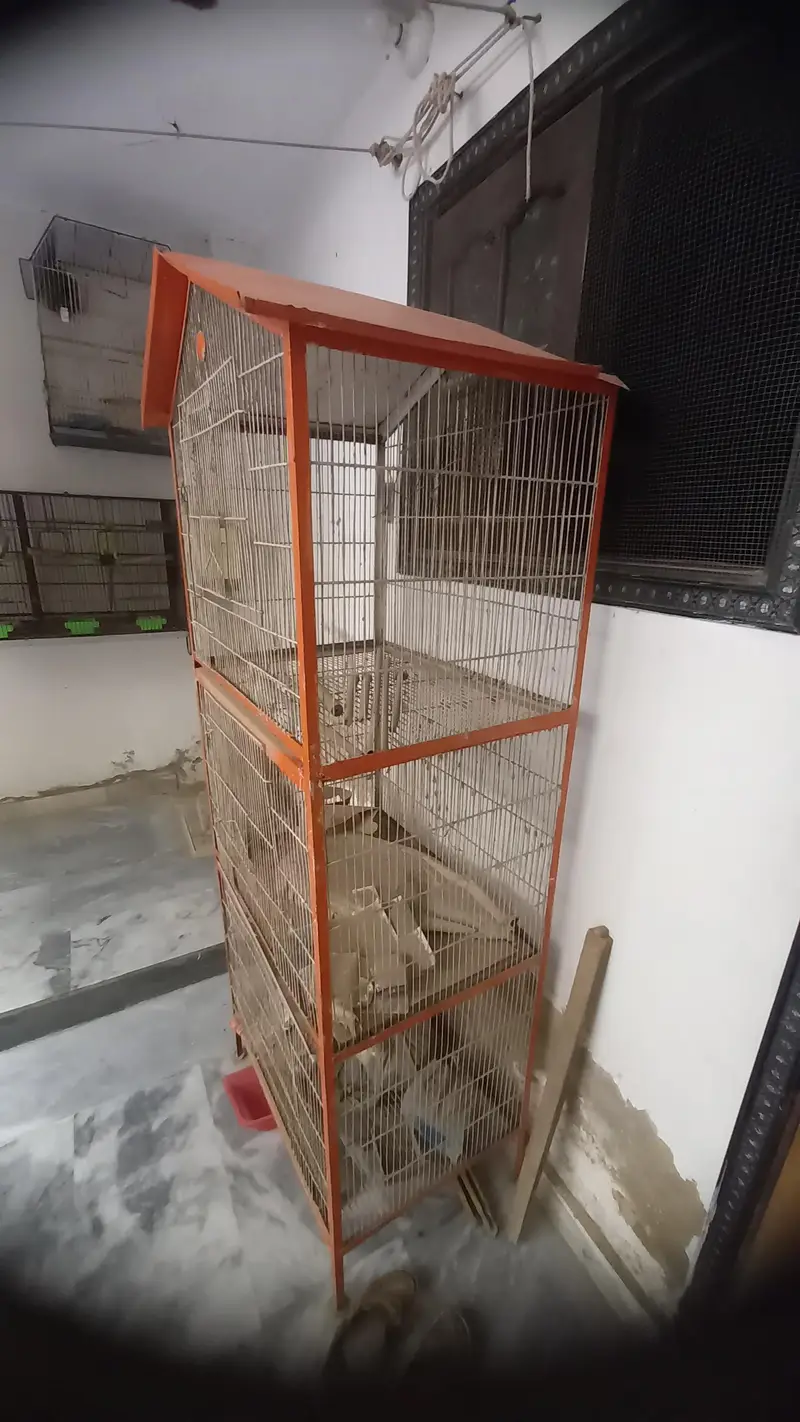 3 tiers cage without trays — photo 2