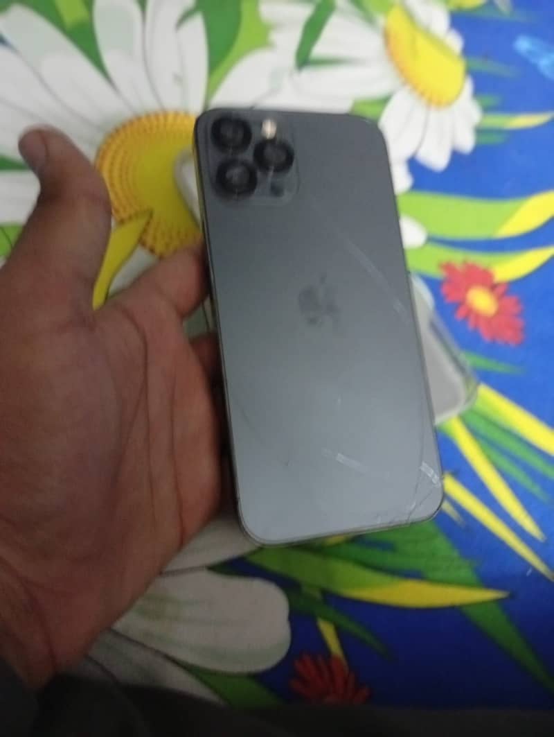 Apple iPhone 12 Pro Max 1