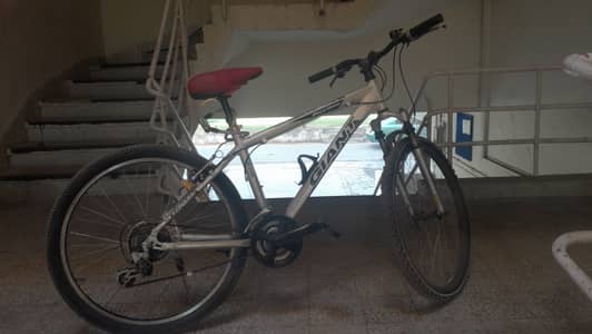 Giant Mountain Bike