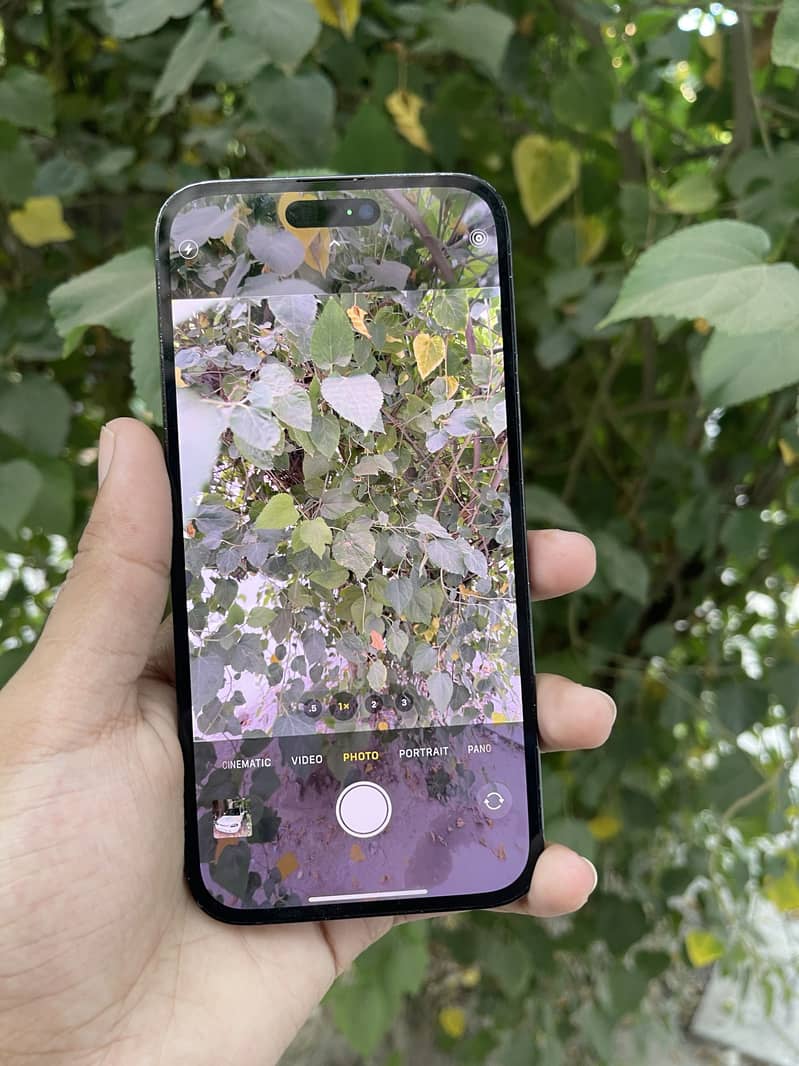 iPhone 14 Pro Max 6