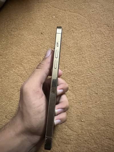 Apple iPhone 12 Pro Max