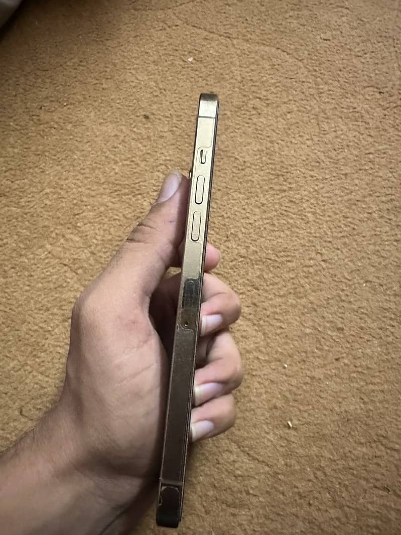 Apple iPhone 12 Pro Max 0