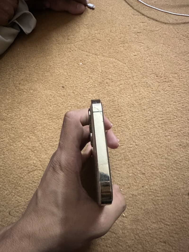 Apple iPhone 12 Pro Max 1