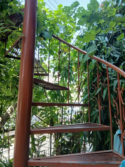 stayers for sale ak manzil