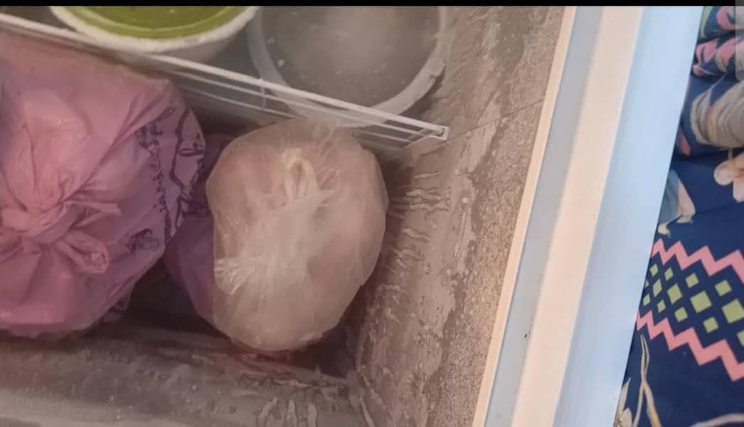 D Freezer 4