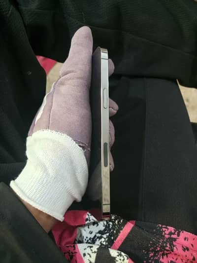 Apple iPhone 12 Pro Max
