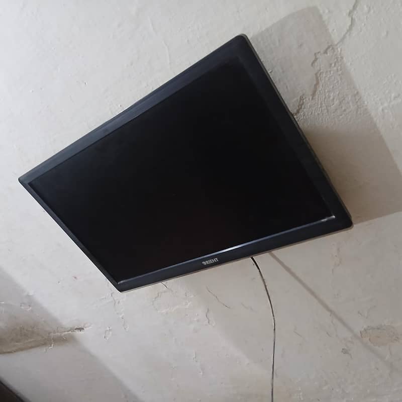 ORIENT LED 0
