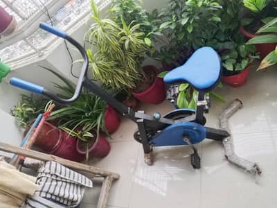 Exercise Cycle