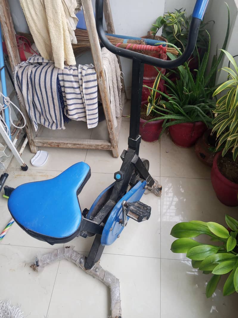 Exercise Cycle 1