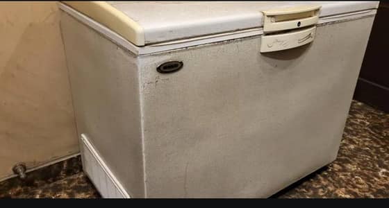 Waves Deep freezer double door
