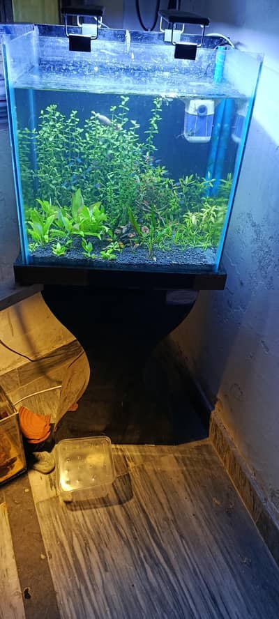 Aquariam full setup available