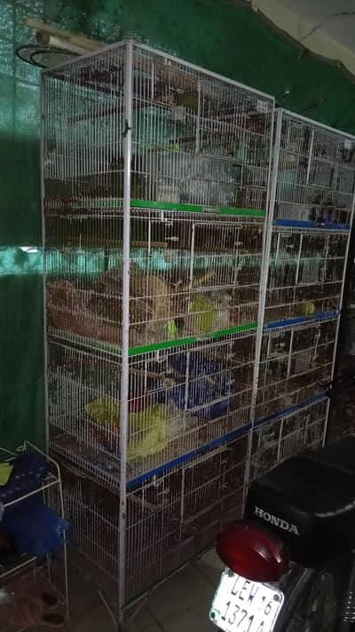 Love Birds Cage 4 Portion