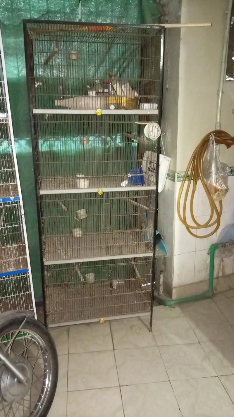 Love Birds Cage 4 Portion — photo 2