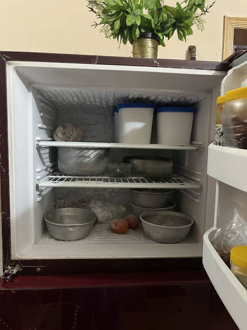 Fridge orient 6