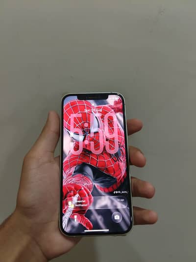 Apple iPhone 12