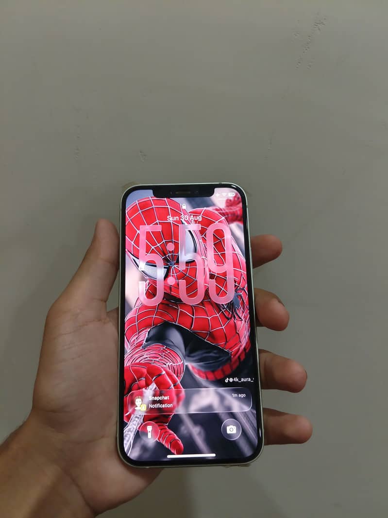 Apple iPhone 12 0