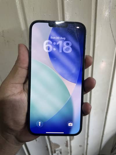 Apple iPhone 13 Pro Max