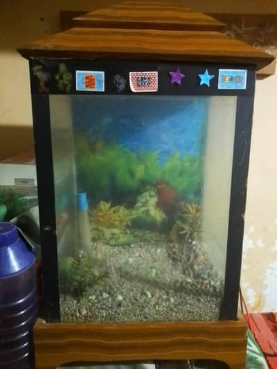 good condition