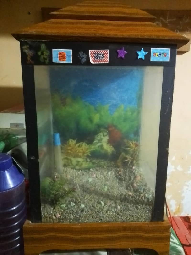 good condition 0