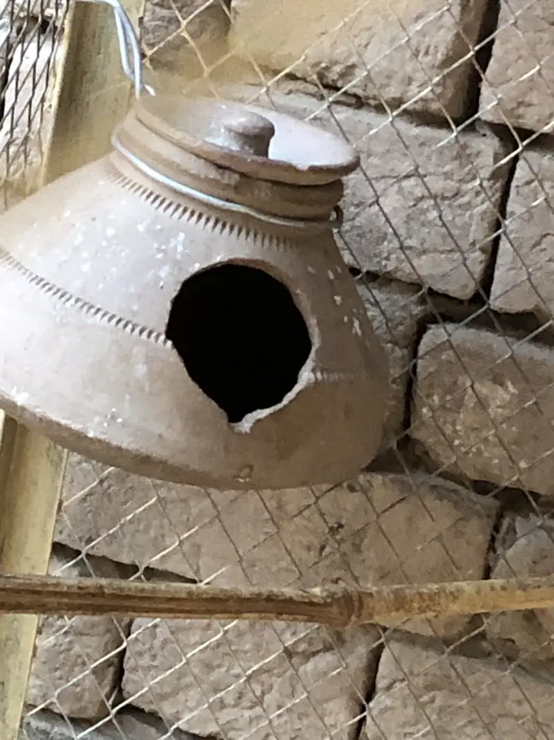 Budgies. Parrot setup — photo 7
