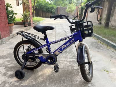 Phoenix bicycle