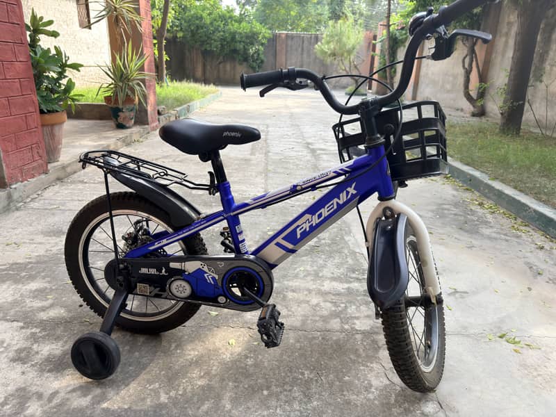 Phoenix bicycle 0