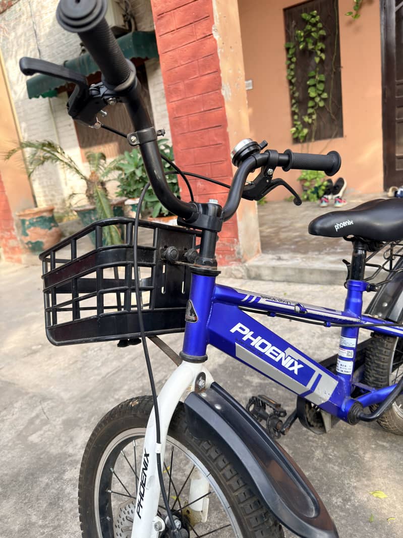 Phoenix bicycle 1