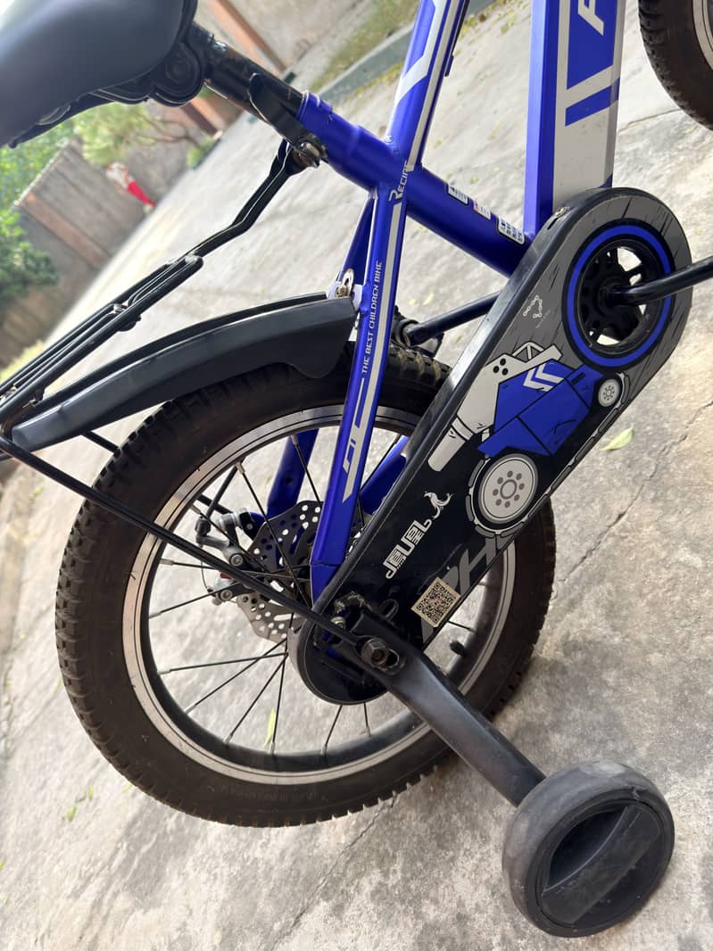 Phoenix bicycle 2