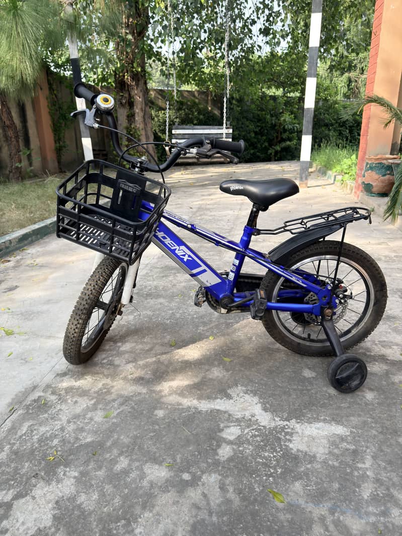 Phoenix bicycle 3
