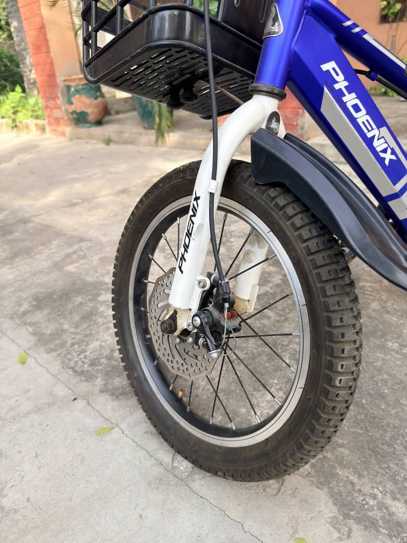 Phoenix bicycle 4