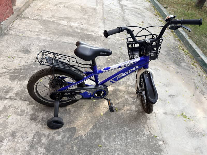 Phoenix bicycle 5