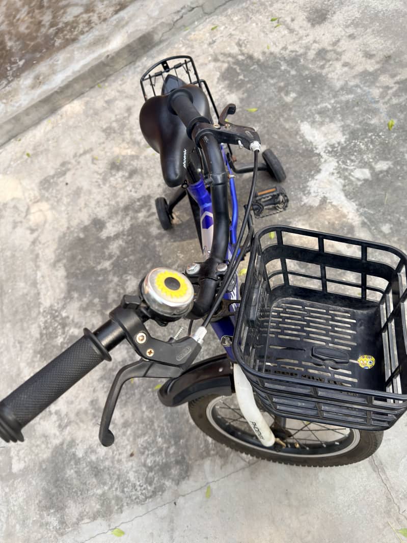Phoenix bicycle 6